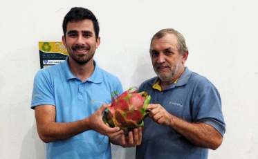 Agricultor de Jacinto Machado colhe pitaya gigante