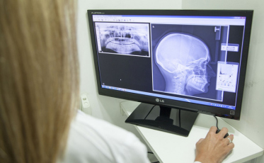 Exame cadavérico realizado em clínica veterinária gera polêmica