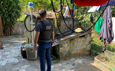 Imbituba: policiais prendem tio que ameaçava criança com Rottweiler