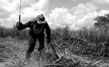 “Espero que o governo não amarele”