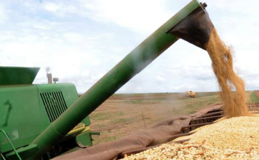 Tem R$ 23 bilhões para Plano Safra 2019/2020