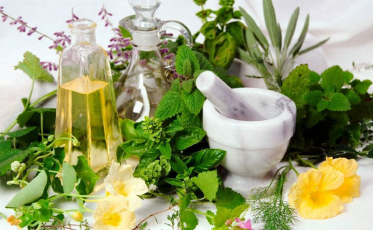Plantas medicinais em pauta para acadêmicos de Farmácia da Unesc