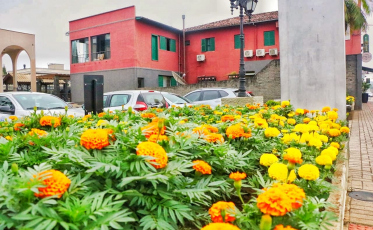 Canteiros e praças bem cuidados colorem Nova Veneza