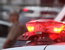 Pitbull foge, ataca outro cão e deixa mulher ferida em Criciúma