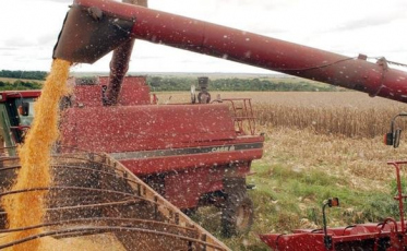 Produção agrícola garante abastecimento do país em meio à pandemia
