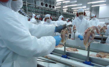 Estado retoma crescimento nas exportações de carne de frango