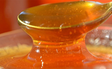 Apesar de a última safra ter sido “quebrada”, Içara se mantem Capital do Mel