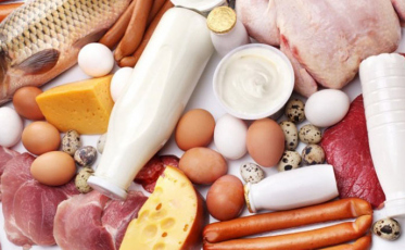 Mais qualidade e rentabilidade para os produtos de origem animal