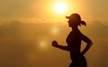 Projeto verão, quem não tem?