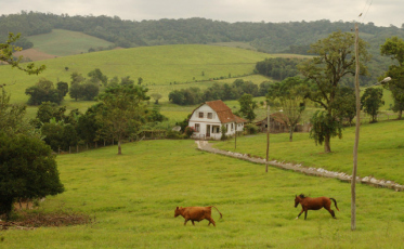 29 anos de fundação da Epagri