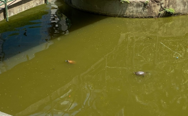 A espera na Praça do Congresso é pela revitalização