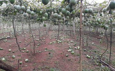 Praia Grande vai decretar situação de emergência (VÍDEO E FOTOS)