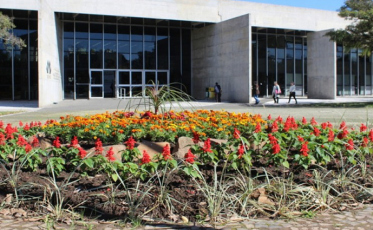 Prefeitura de Criciúma é multada em R$ 260 mil