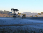 Massa de ar frio provoca queda de temperatura e geada no Sul do país