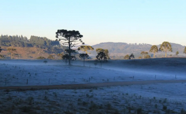 Massa de ar frio provoca queda de temperatura e geada no Sul do país
