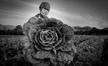 Fotografia catarinense recebe prêmio sul-americano de fotojornalismo