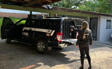 Acusada de liderar grupo que embebedava, seduzia e roubava cartões bancários de haitianos é presa em Criciúma