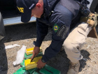Polícia apreende mais de R$ 2,8 milhões em cocaína na BR-101 em Palhoça