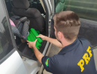 Criança de 3 anos viajava ao lado de 250 quilos de maconha