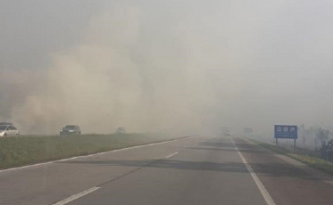 Incêndio em vegetação interdita Morro dos Cavalos 