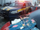 Quadrilha especializada em furto de roupas é presa em Tubarão