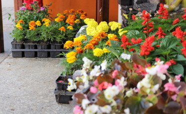 Autoestima e sorrisos na estação mais colorida do ano