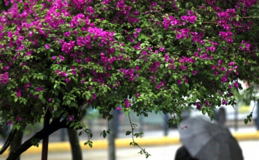 Primavera chega com promessa de tardes quentes e noites frias