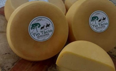 Queijo serrano de São Joaquim ganha mercado nacional ao receber o Selo Arte