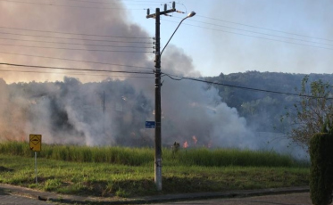 Mais uma queimada. Agora, no Lote Seis (VÍDEO)
