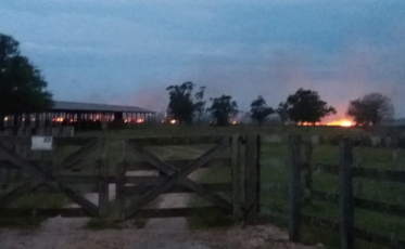 Queimada no Rincão: Bombeiros não conseguem acesso