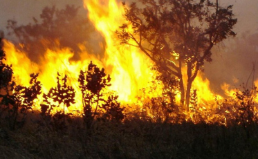 Governo altera decreto sobre suspensão de queimadas