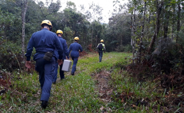 Uma trilha errada e a noite na mata