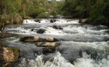 Apesar das chuvas dos últimos dias, efeitos da estiagem persistem no estado