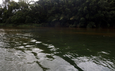 Corpo de homem é encontrado boiando em rio de Araranguá