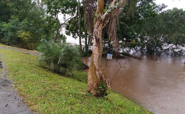 Araranguá em alerta: rio está 2 metros acima do nível normal (VÍDEO)