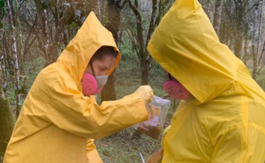 Saúde intensifica ações de controle da Hantavirose em SC