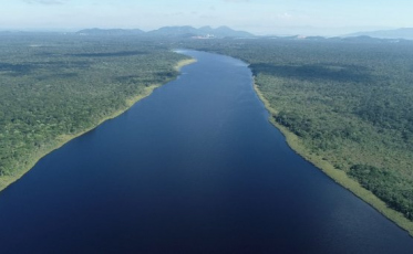 IMA fecha o ano com mais agilidade e modalidades nos licenciamentos