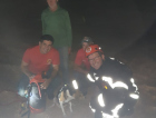 Cão cai em fosso e é resgatado pelo Corpo de Bombeiros 