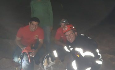 Cão cai em fosso e é resgatado pelo Corpo de Bombeiros 