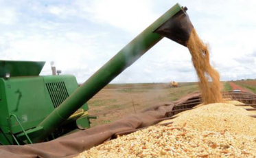 Safra de grãos de 2019 deve ser 3,1% maior que a de 2018, diz IBGE