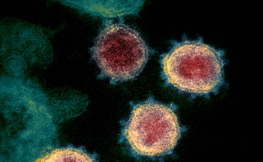 Mais de 70 casos da variante do coronavírus são encontradas em SC