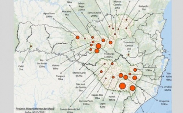 SC é o maior produtor de maçã do Brasil