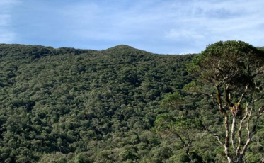 Ação da PGE faz Justiça suspender liminar que interferia no Código Florestal