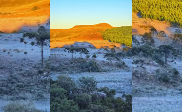 Temperaturas abaixo de zero cobrem a Serra de SC de gelo e rendem imagens impressionantes