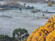 Amanhecer congelante: geada se espalha após amanhecer mais frio do ano em SC | Foto: Mycchel Legnaghi/São Joaquim Online