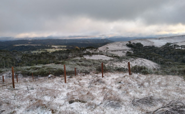 Serra Catarinense registra neve durante a madrugada (FOTOS E VÍDEO)