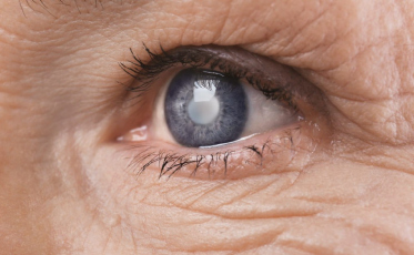 Especializada em problemas oculares, Clínica de Araranguá deve atender a região