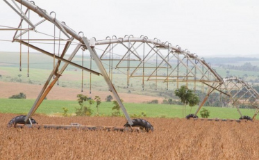 Produção de grãos do país na safra 2019/2020 deverá ser recorde