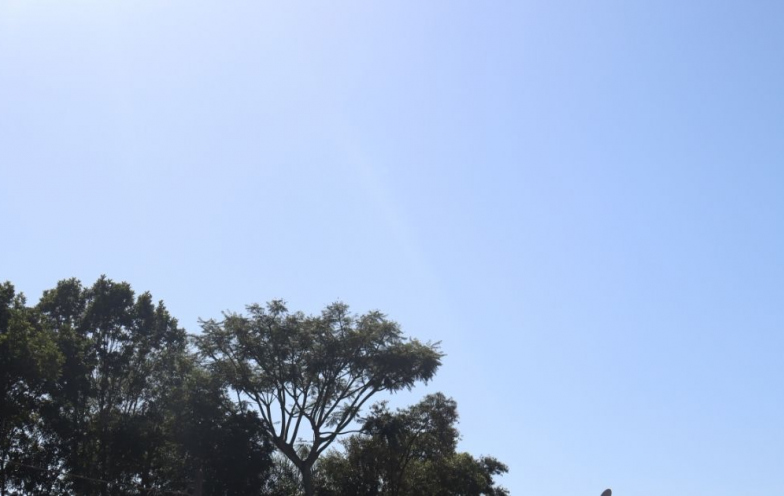 Temperaturas despencam e vento aumenta no Sul de SC neste domingo
