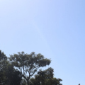 Temperaturas despencam e vento aumenta no Sul de SC neste domingo